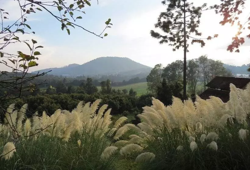 Viña Real Cabañas Rotamundos