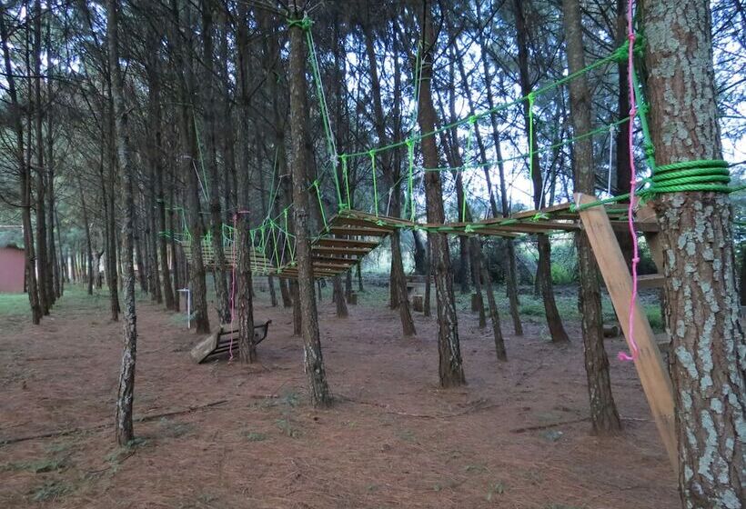 Viña Real Cabañas Rotamundos