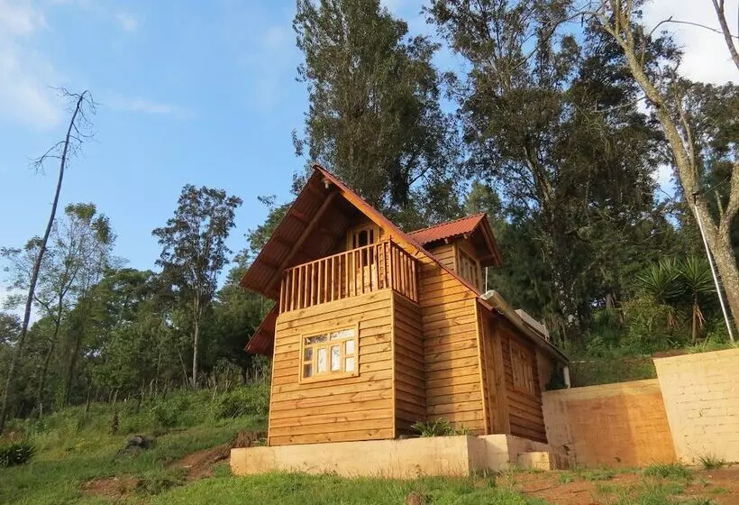 Viña Real Cabañas Rotamundos