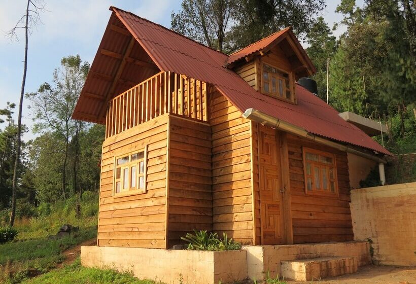 Viña Real Cabañas Rotamundos