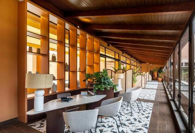 ホテル Barcelo Tenerife Royal Level