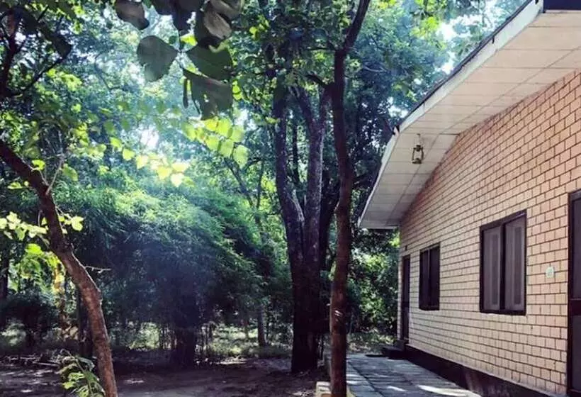 ホテル Maharaja Kothi