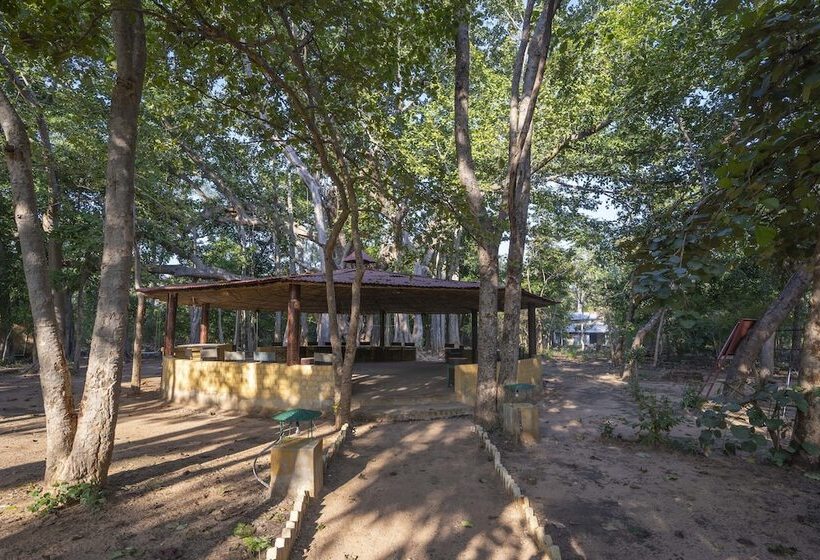 Отель Maharaja Kothi