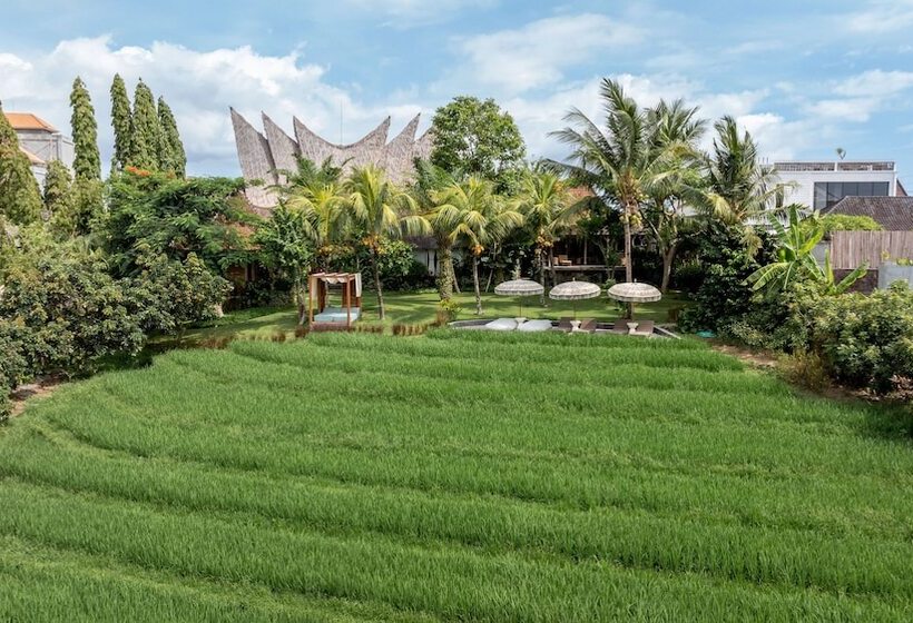 酒店 Premadhan Cottage Canggu