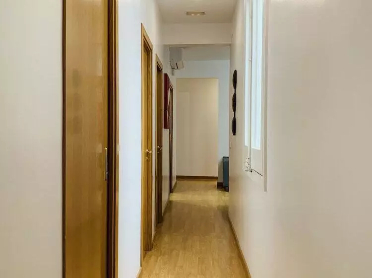 Super Balmes Guest House