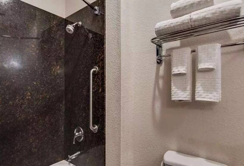 호텔 Best Western Plus Greenville South