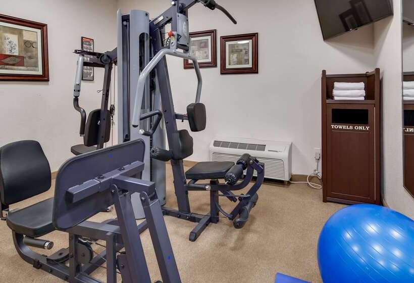 فندق Best Western Plus Greenville South