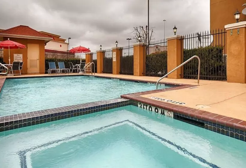 فندق Best Western Plus Katy Inn And Suites