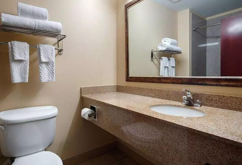 فندق Best Western Plus Katy Inn And Suites