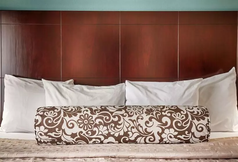 فندق Best Western Plus Katy Inn And Suites