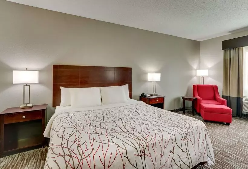 Отель Best Western Plus University Inn & Suites