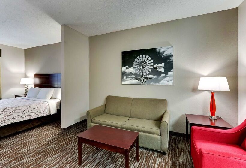 ホテル Best Western Plus University Inn & Suites