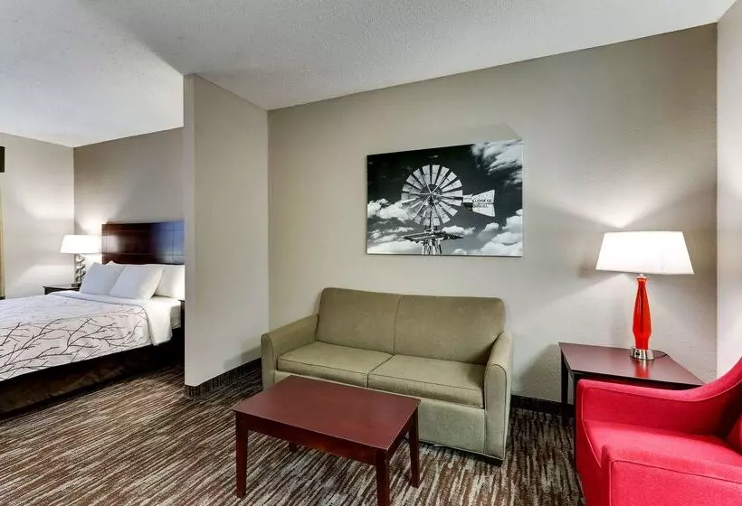 Отель Best Western Plus University Inn & Suites