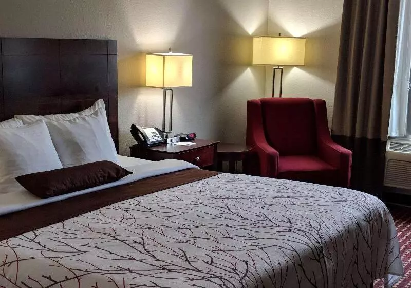 Отель Best Western Plus University Inn & Suites