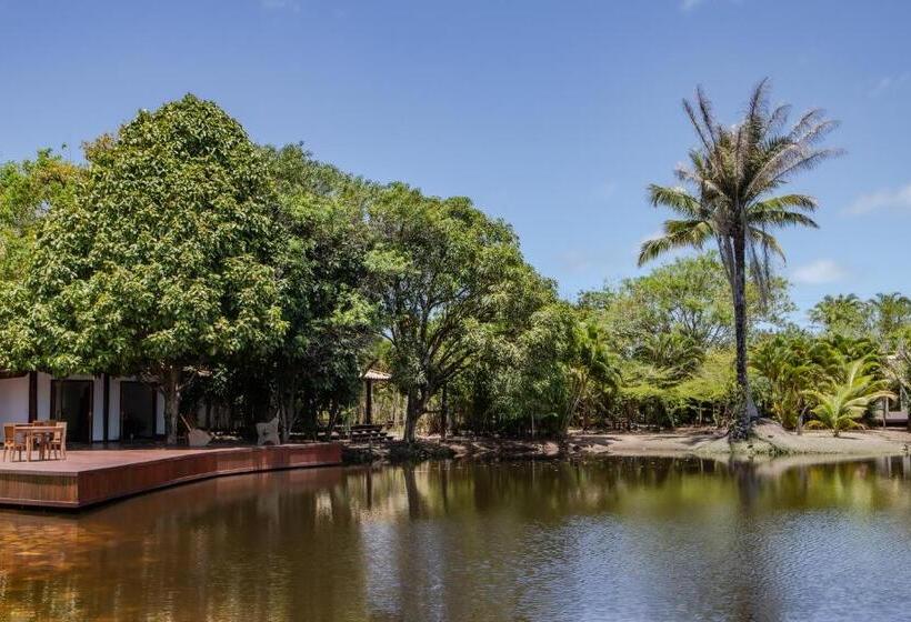 Отель Vivant Eco Beach Oficial