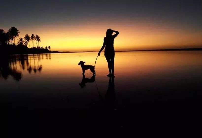 Majatalo Takito Kite House, Praia Da Baleia, Itapipoca Ce