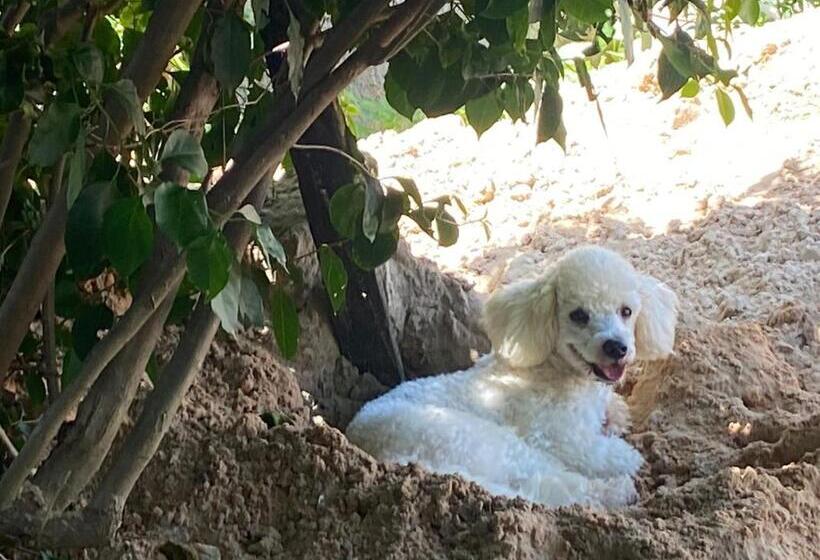 膳宿费 Takito Kite House, Praia Da Baleia, Itapipoca Ce