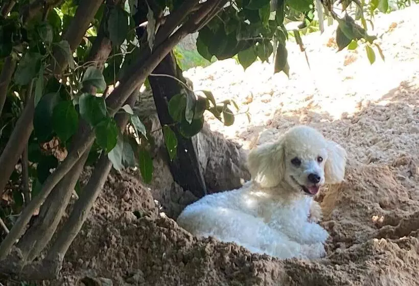 Majatalo Takito Kite House, Praia Da Baleia, Itapipoca Ce