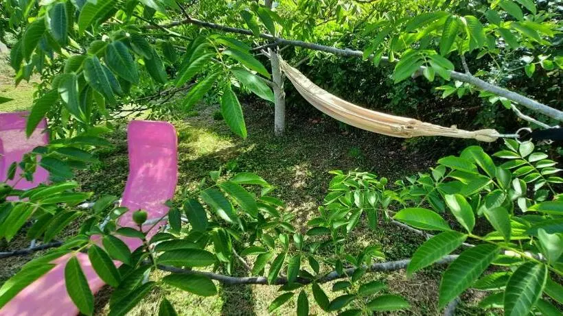 ベッドアンドブレックファースト Bel Aujourd Hui Spa Sauna