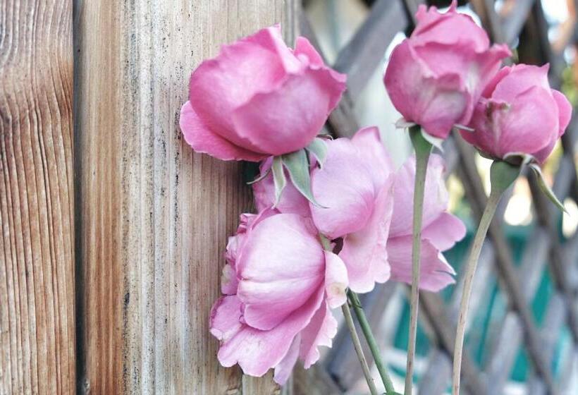 ベッドアンドブレックファースト Lindo Lugar Just A 7 Minute Walk From The Airport