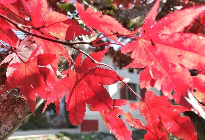 ベッドアンドブレックファースト Lindo Lugar Just A 7 Minute Walk From The Airport