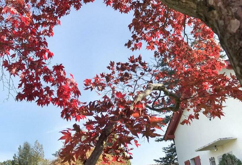 ベッドアンドブレックファースト Lindo Lugar Just A 7 Minute Walk From The Airport