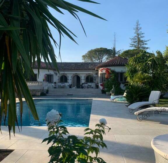 פנסיון Carpe Diem Paradise