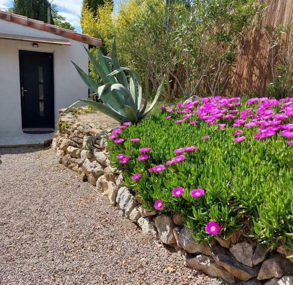 Пансион La Micocoule