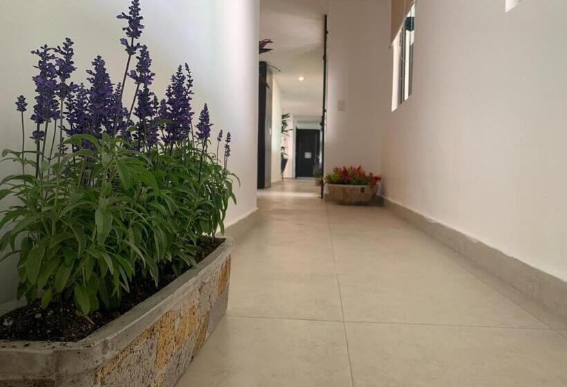 فندق Escala Puebla Centro