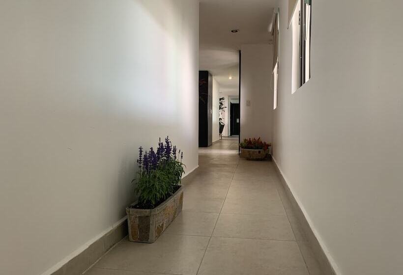 فندق Escala Puebla Centro