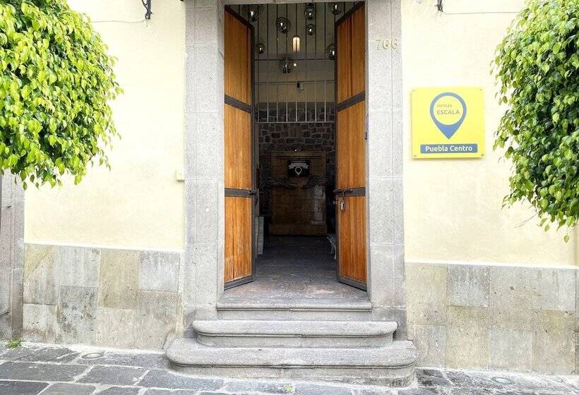 فندق Escala Puebla Centro