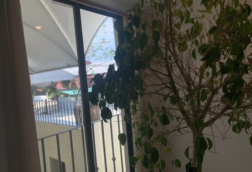 فندق Escala Puebla Centro