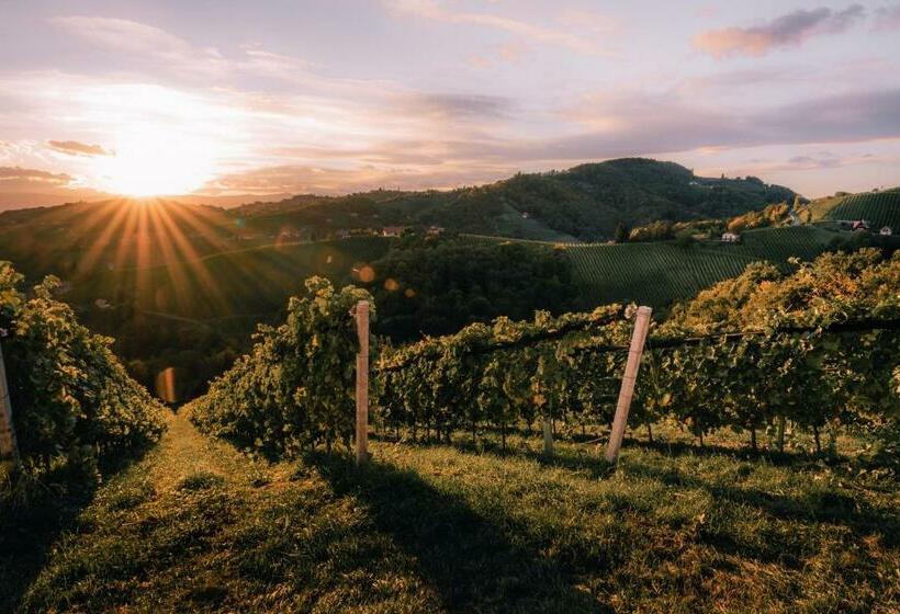 Пансион 111 Weinkitz