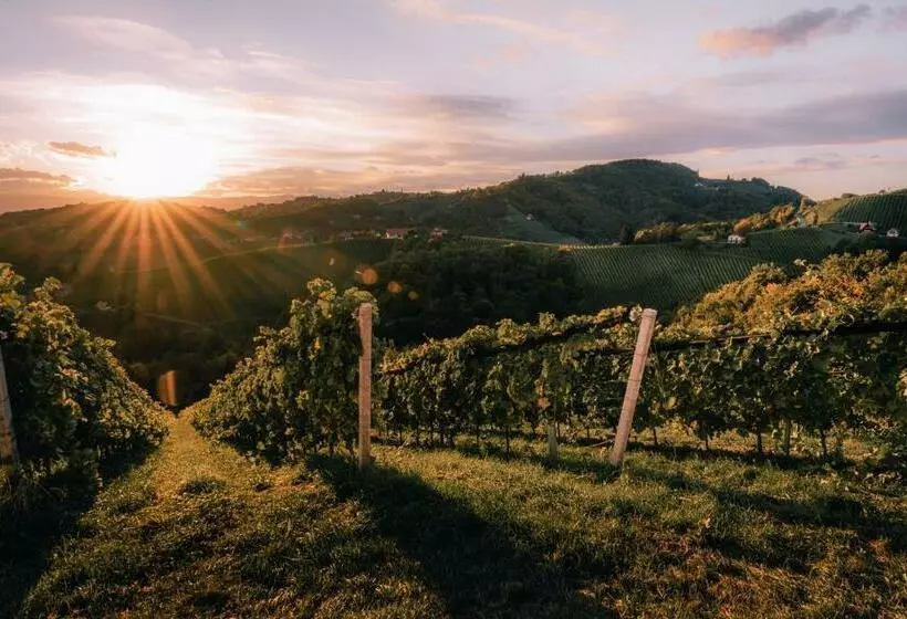 Majatalo 111 Weinkitz