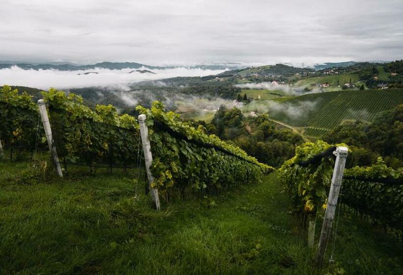 Пансион 111 Weinkitz