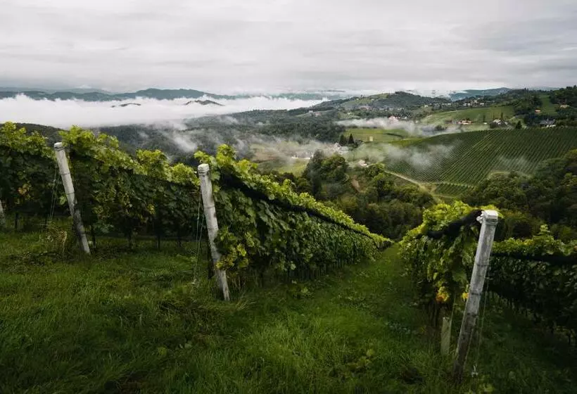 Majatalo 111 Weinkitz