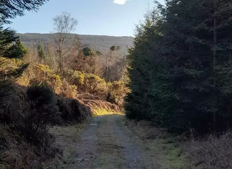 ベッドアンドブレックファースト Shadowvale E34x773