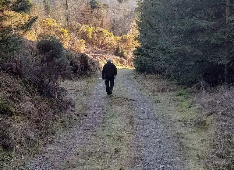 ベッドアンドブレックファースト Shadowvale E34x773