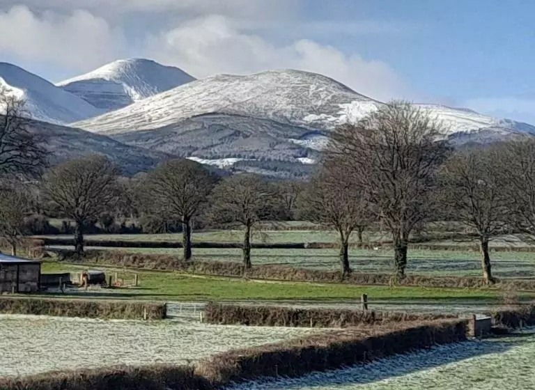 ベッドアンドブレックファースト Shadowvale E34x773