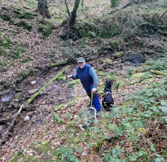 ベッドアンドブレックファースト Shadowvale E34x773