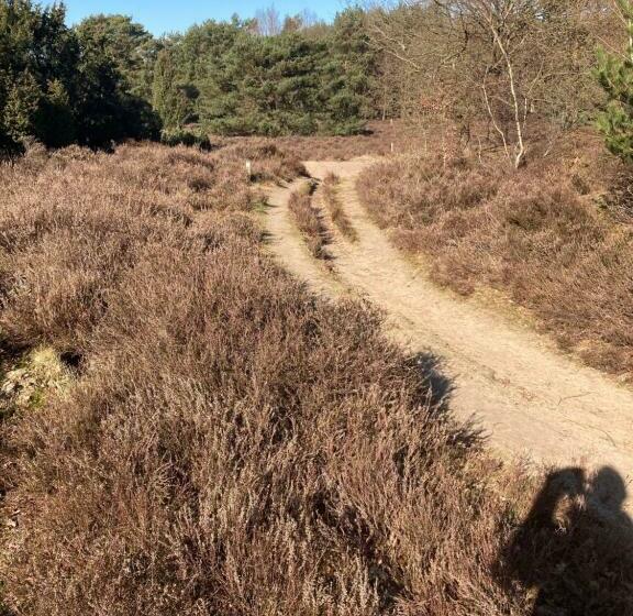 Bed & Breakfast Beilerhorst