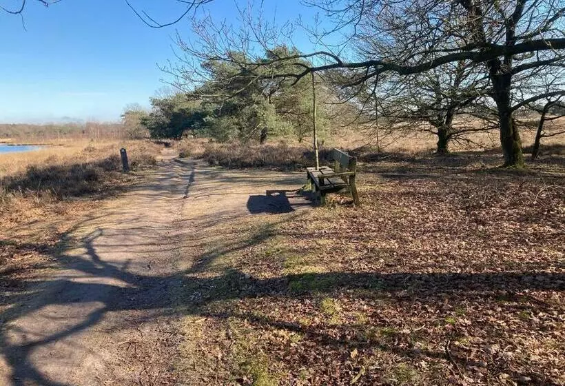 Bed & Breakfast Beilerhorst