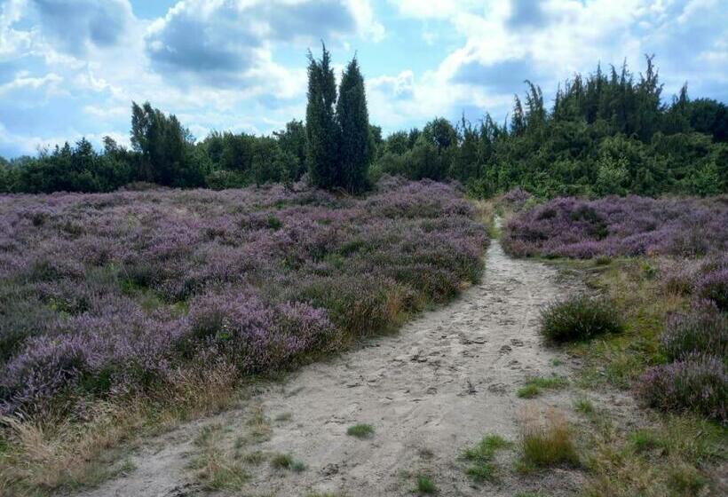 Bed & Breakfast Beilerhorst