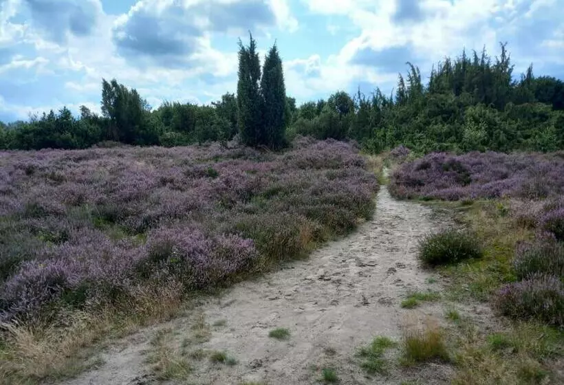 Bed & Breakfast Beilerhorst