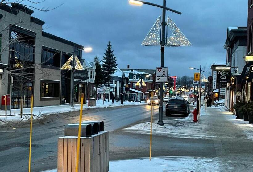 Magog Waterfront Studio 106