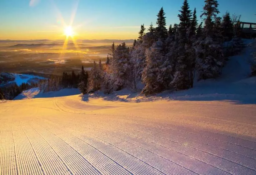 Magog Waterfront Studio 106