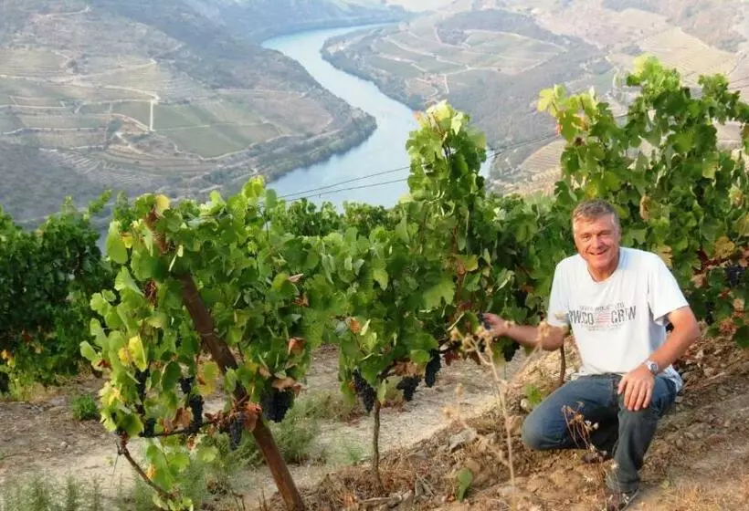 تختخواب و صبحانه Stay At The Winemaker