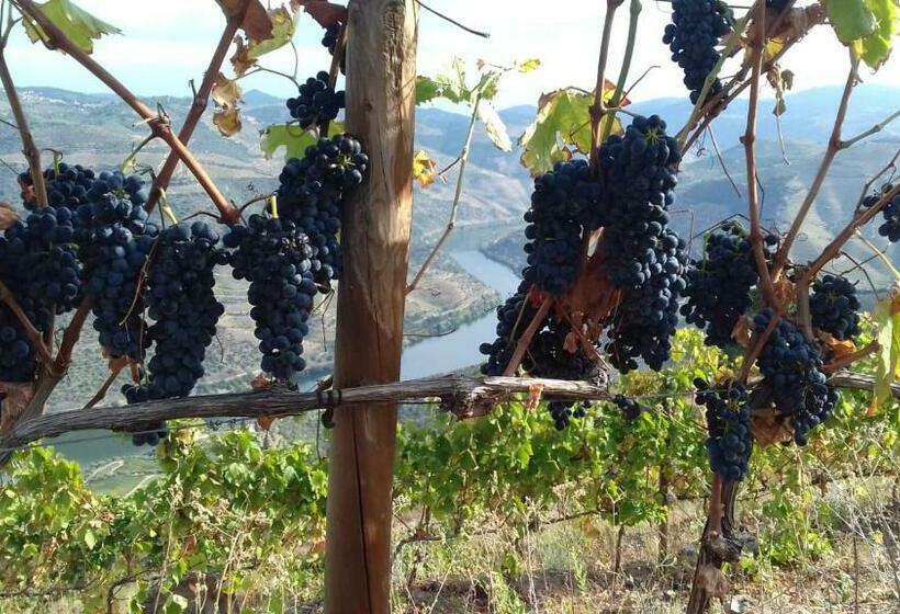 צימר Stay At The Winemaker