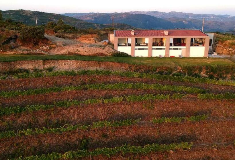 צימר Stay At The Winemaker