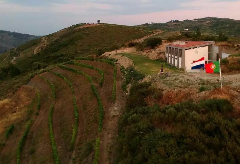 تختخواب و صبحانه Stay At The Winemaker